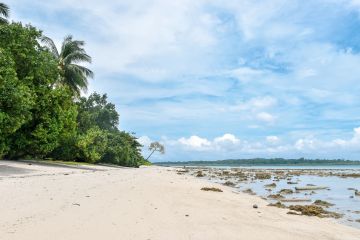 5 Days Port Blair  Ross Island  North Bay Island coral Island Trip Package