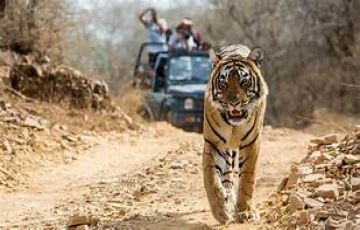 Memorable Jim Corbett Tour Package for 4 Days 3 Nights