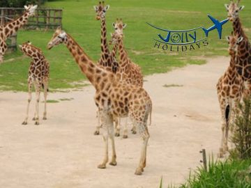 Heart-warming 8 Days Budapest, Bratislava, Guided with Salzburg Vacation Package