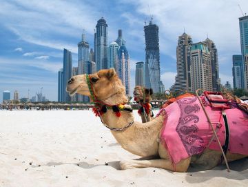 Beautiful 5 Days Dubai Trip Package by AIR GANESHA
