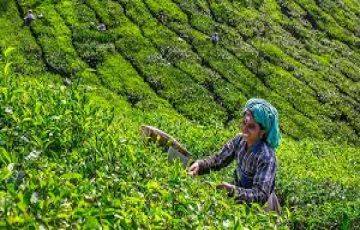 Ecstatic 3 Days 2 Nights Guwahati Tour Package