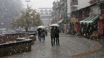 Ecstatic Shimla Tour Package for 7 Days from Chandigarh
