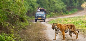 3 Days Jim Corbett - New Delhi Trip Package