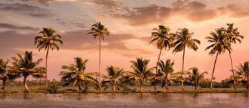 Family Getaway 2 Days Periyar Trip Package