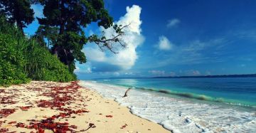 Memorable Havelock Island - Port Blair 2hrs By Ferry Tour Package for 5 Days