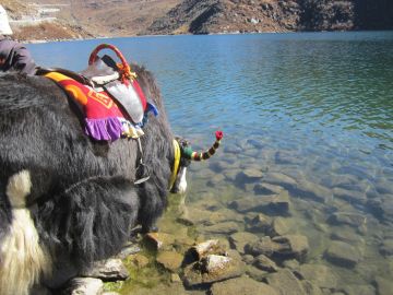 Darjeeling Tour Package for 6 Days 5 Nights from Siliguri