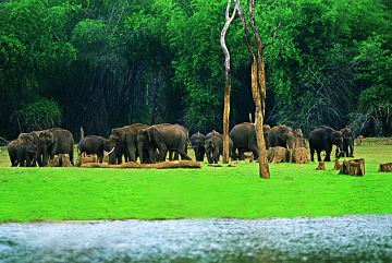 Memorable 5 Days 4 Nights Munnar Trip Package