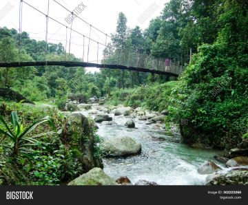 Family Getaway New Jalpaiguri Tour Package for 4 Days from New Jalpaiguri  Bagdogra Airport