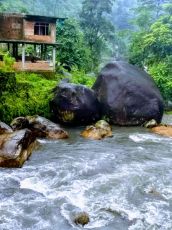 Family Getaway New Jalpaiguri Tour Package for 4 Days from New Jalpaiguri  Bagdogra Airport