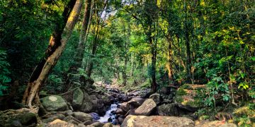 Family Getaway New Jalpaiguri Tour Package for 4 Days from New Jalpaiguri  Bagdogra Airport