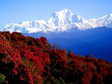 Family Getaway New Jalpaiguri Tour Package for 4 Days from New Jalpaiguri  Bagdogra Airport