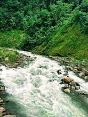 Family Getaway New Jalpaiguri Tour Package for 4 Days from New Jalpaiguri  Bagdogra Airport