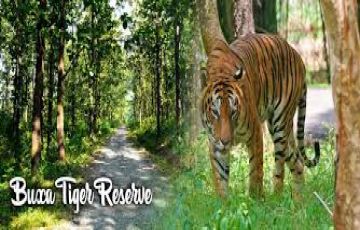 Family Getaway New Jalpaiguri Tour Package for 4 Days from New Jalpaiguri  Bagdogra Airport