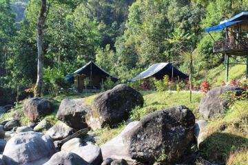 Family Getaway New Jalpaiguri Tour Package for 4 Days from New Jalpaiguri  Bagdogra Airport