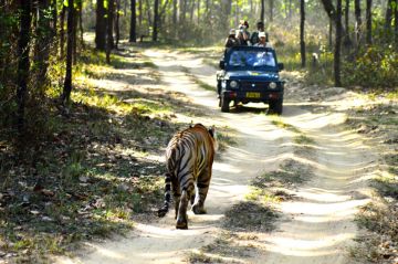 Jabalpur Amarkantak Kanha Pachmarhi