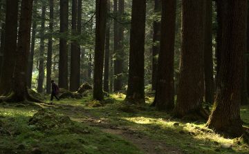 Beautiful 3 Days 2 Nights Kasol and Kheerganga Vacation Package