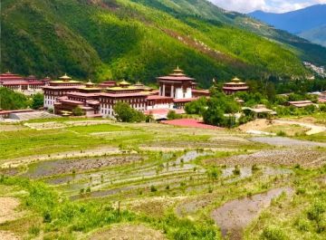 Ecstatic 6 Days Paro Airport  Thimphu, Thimphu  Punakhawangdue Sightseeing and Punakhawangdue  Paro Sightseeing Holiday Package