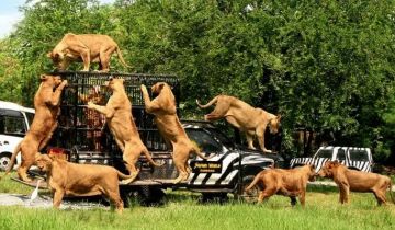 Experience 6 Days Bangkok to Phuket Holiday Package