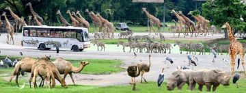 Experience 6 Days Bangkok to Phuket Holiday Package