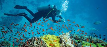 Best 6 Days Port Blair to Havelock To Neil Island Lakshmanpur Beach Vacation Package