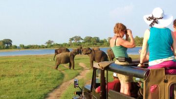 Heart-warming Sigiriya Tour Package for 7 Days 6 Nights from Negombo