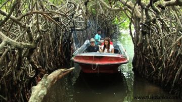 Heart-warming Sigiriya Tour Package for 7 Days 6 Nights from Negombo