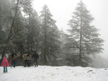Family Getaway Shimla Tour Package for 3 Days from Delhi
