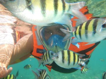 Family Getaway 5 Days Port Blair to Havelock Island Trip Package