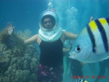 Family Getaway 5 Days Port Blair to Havelock Island Trip Package