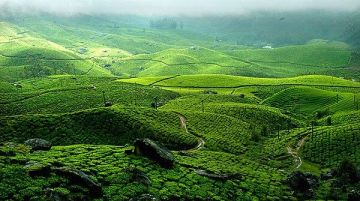 Pleasurable 5 Days Cochin, Thekkady with Alleppey Trip Package