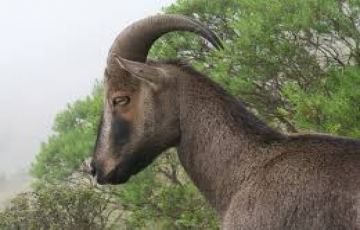 Heart-warming 6 Days Cochin, Munnar with Thekkady Trip Package