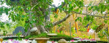 Anuradhapura Tour Package for 7 Days 6 Nights from Negombo
