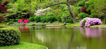 Beautiful 4 Days Sigiriya, Kandy with Negombo Holiday Package