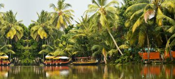 Amazing 7 Days Munnar, Thekkady and Alleppey Holiday Package