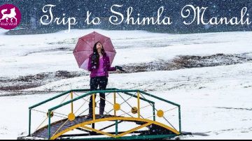 Heart-warming Shimla Tour Package for 6 Days 5 Nights from Chandigarh