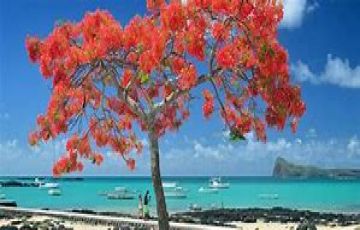 Memorable 4 Days 3 Nights Mauritius Tour Package