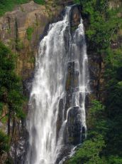 Experience 6 Days Negombo to Kandy Tour Package