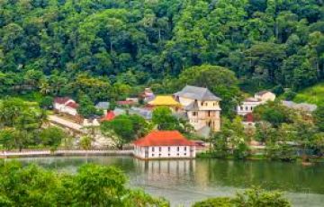 Heart-warming 7 Days 6 Nights Kandy, Bentota, Colombo and Negombo Tour Package