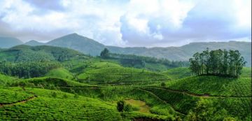 Family Getaway 6 Days 5 Nights Kerala Vacation Package