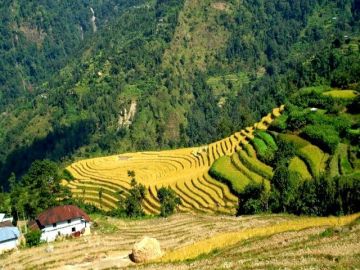 Family Getaway 4 Days 3 Nights Darjeeling, Kalimpong with Bagdogra Vacation Package