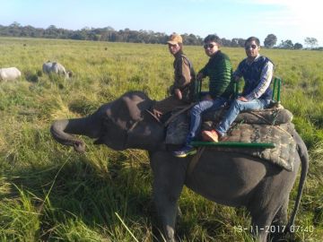 7 Days Guwahati, Cherrapunjee, Dawki and Kaziranga Trip Package