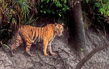 Memorable Bangladesh Tour Package for 3 Days