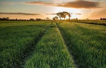 Best Sylhet Tour Package for 11 Days from Dhaka