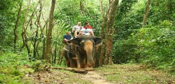 Magical 4 Days 3 Nights Phuket Holiday Package