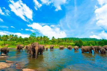 Memorable 5 Days Colombo, Kandy and New Delhi Trip Package