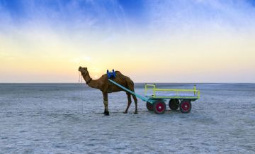 Amazing 4 Days 3 Nights Hodka Trip Package