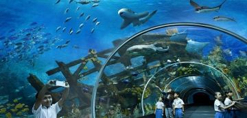 Memorable 7 Days Kuala Lumpur to Singapore Holiday Package