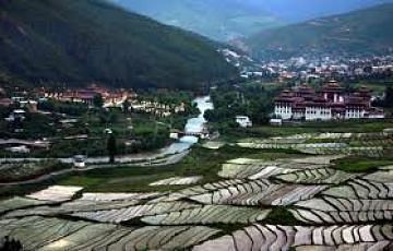 Pleasurable 6 Days Punakha Holiday Package