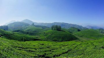 Beautiful Munnar Tour Package for 4 Days