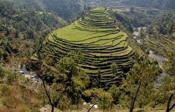 Ecstatic 3 Days Delhi to Ranikhet Tour Package